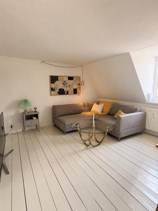 Cozy apartment in the heart of Copenhagen