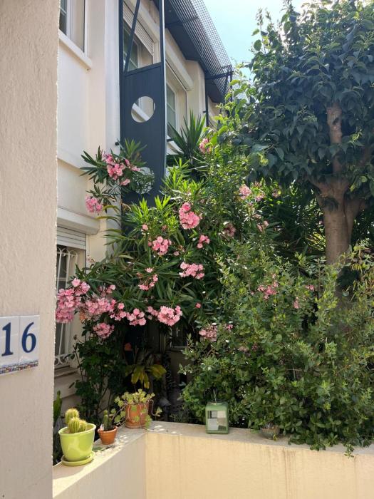 Pavillon Riviera Cannes
