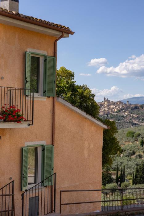 Agriturismo Terra dOlivo