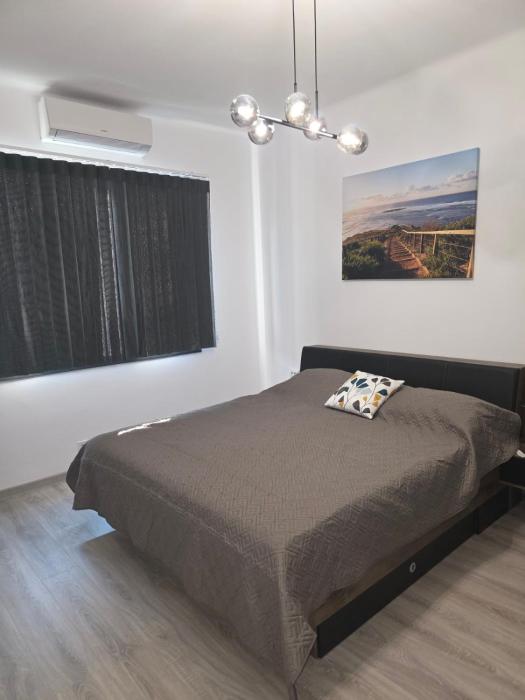 Friendly Family Luxury Apartment