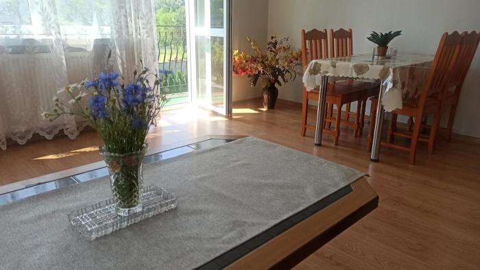 Zielony Azyl obszerny apartament z balkonem i garazem