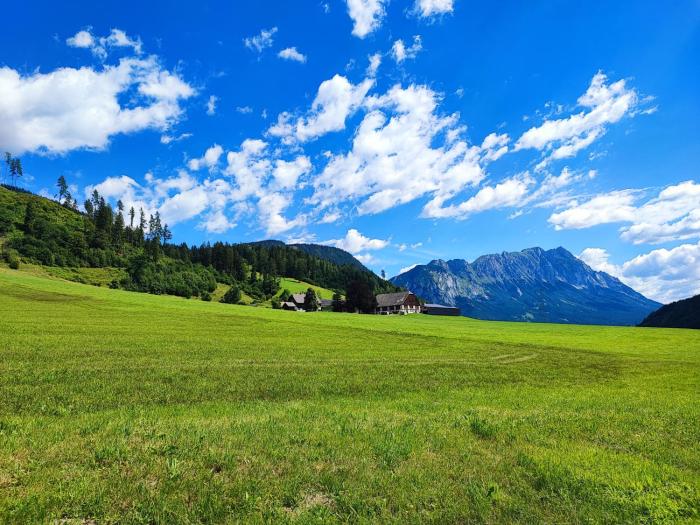 Die Ringdorferin - Boutique Farmhouse Apartments