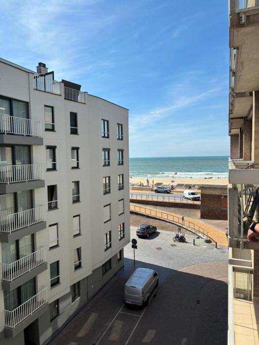 Vergeetmijnietjes aan zee - Oostende