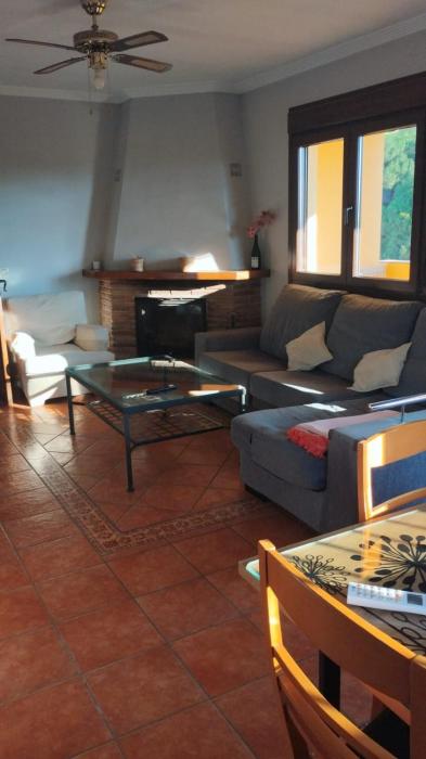 Relax entre pinos