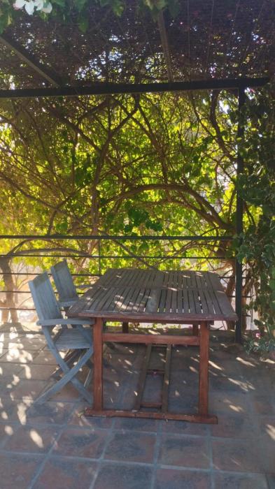 Relax entre pinos