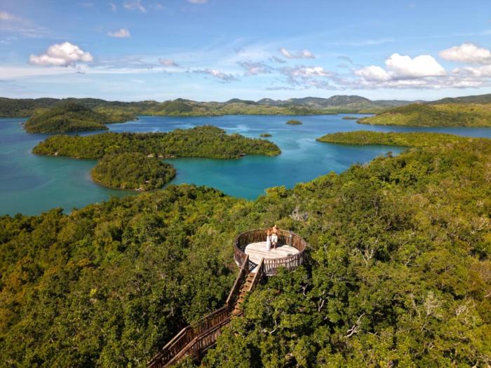Alligator Island