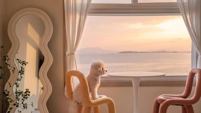 yeosu canada meo village pet pension