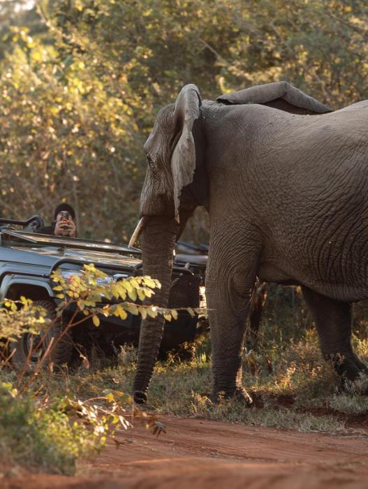 Karongwe - Chisomo Safari Camp