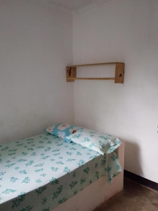 Apollo bed & breakfast