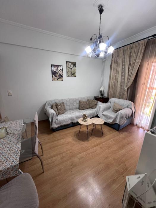 Vivis House