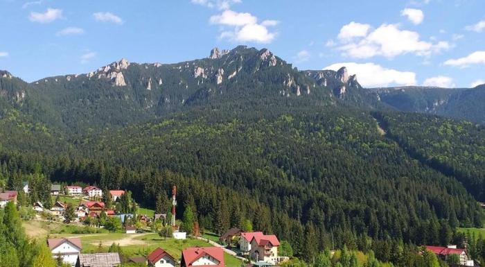 ,,Dor de Munte,, Casuta nr 24 -Complex de Pensiuni si Casute la Munte