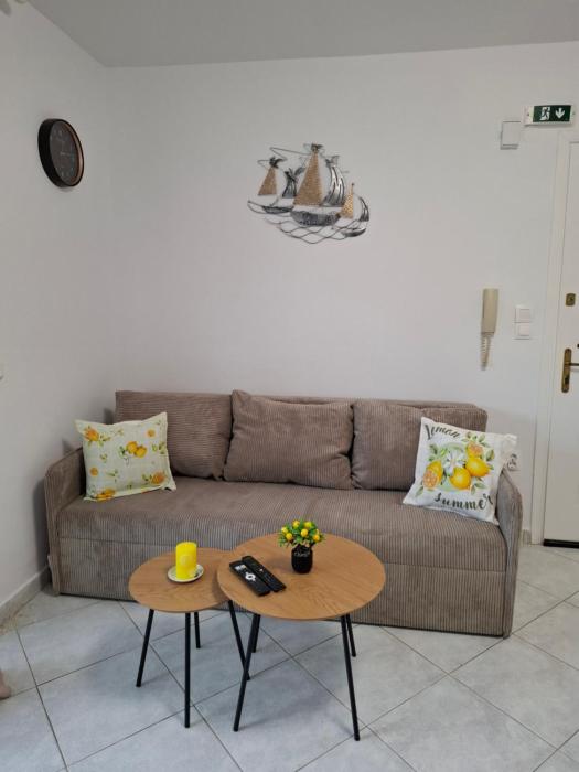 Sebi Suite
