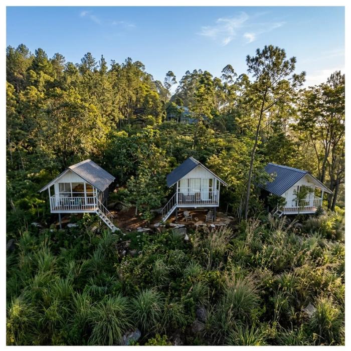 Kolukkumalai Wild Cabins