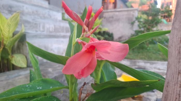 Inara Homestay