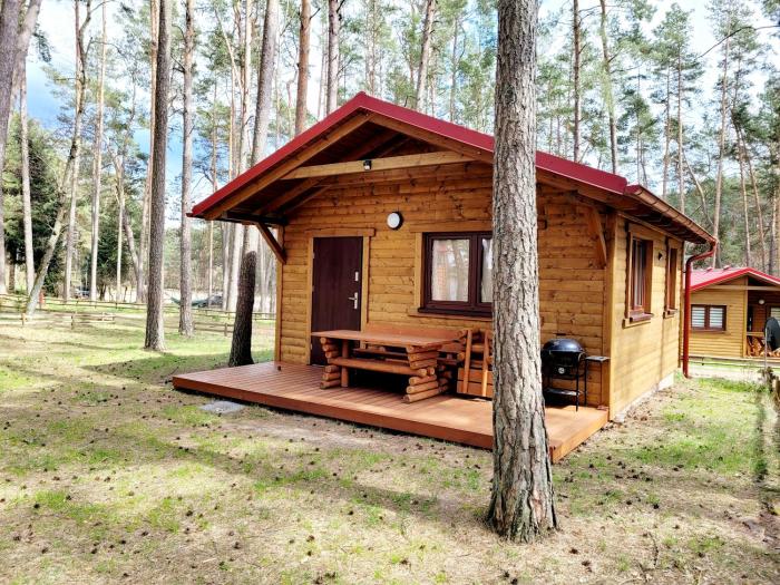 DoBorowy domek nad brzegiem jeziora Wdzydzkiego Kaszuby