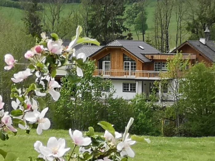 Apartment Stoderzinken, gemütlich und ruhig