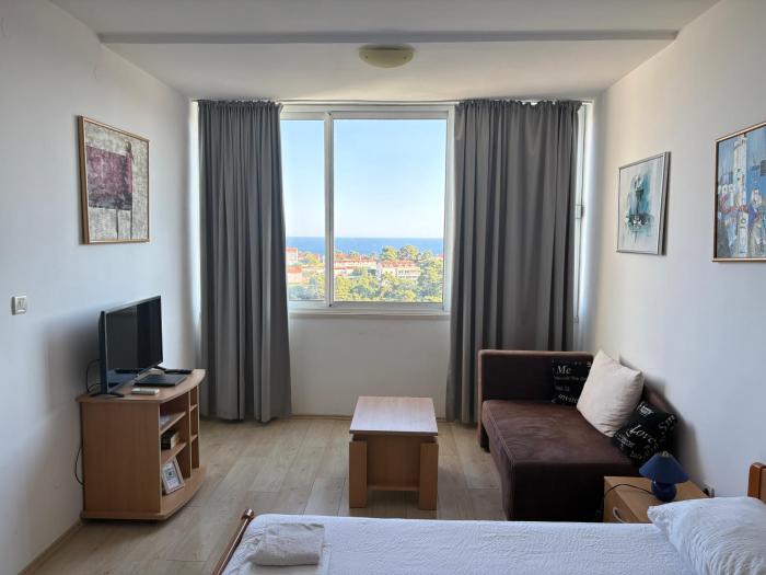 Studio Apartment The Sun