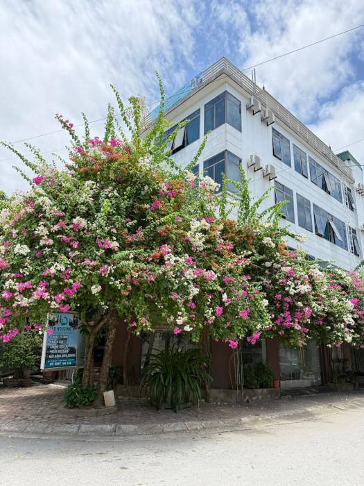 LD Housing 9