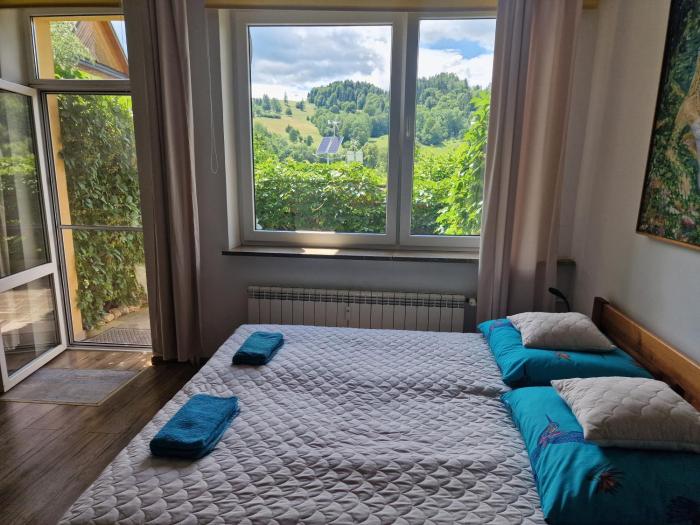 Zielona Przystań Apartament z widokiem na Pieniny