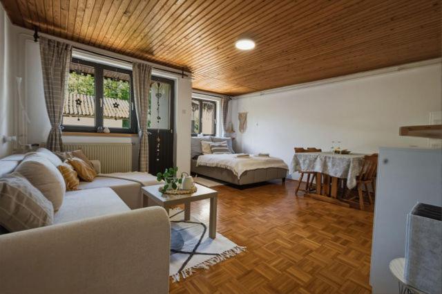 Apartment Vineyard nook Lendava