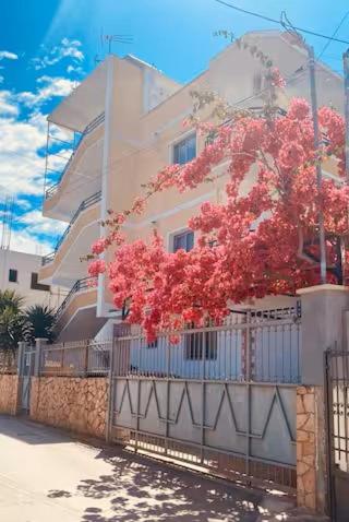Central Comfort Apartments
