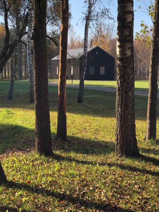 Pauze silent nature retreat