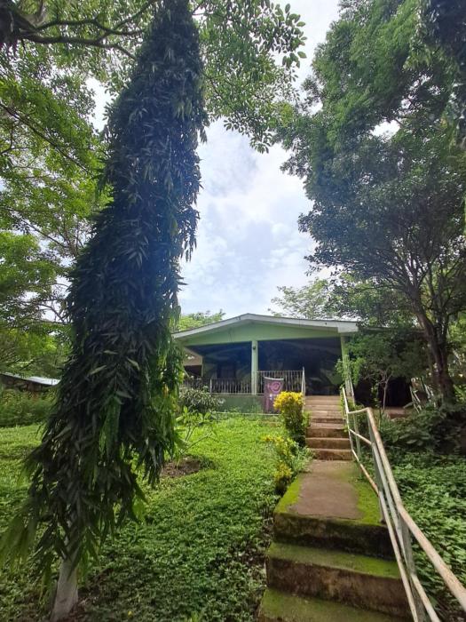 Roots hostel & Camping Ometepe