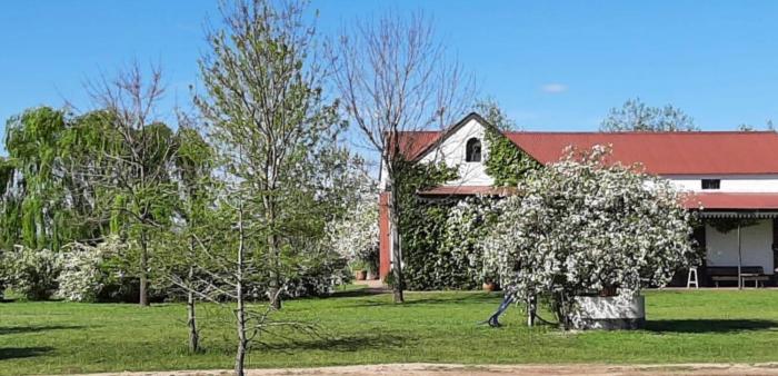 Casa en el campo - casa huéspedes en estupenda chacra de 10 ha