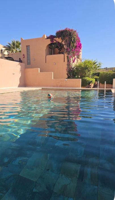 Argan 28 Taghazout