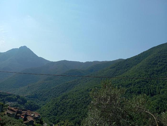Agriturismo U Spigu