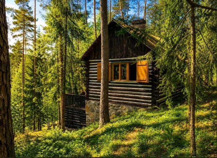 A stylish log cabin in the heart of the Brdy forests