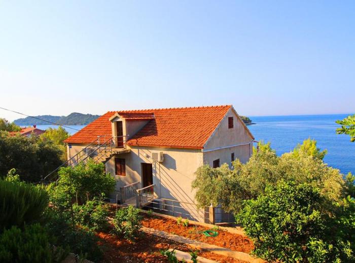 Apartments Bacic