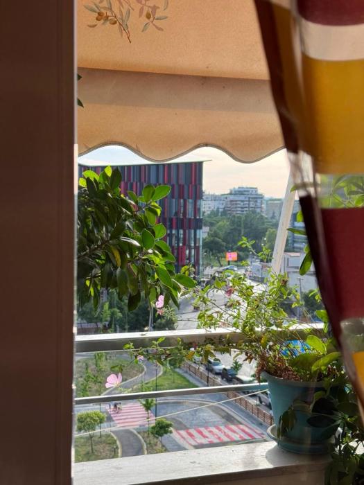 Modern City Escape Best Location & Stadium View