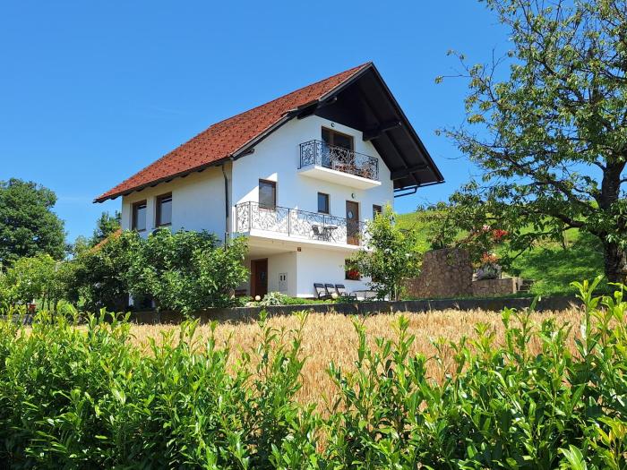 Vineyard Apartments near Rajhenburg Castle