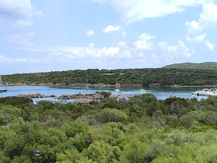 La casa di Gavina