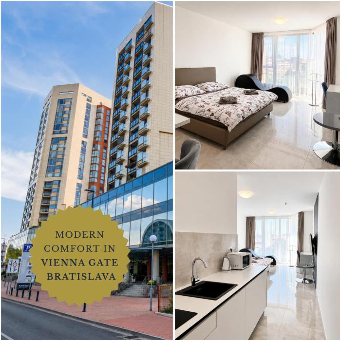 1 room Apartment with AC, Vienna Gate 3