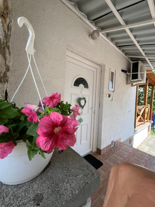 Virág apartman
