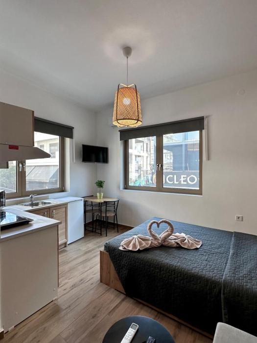 DownTown Small Apartment 2