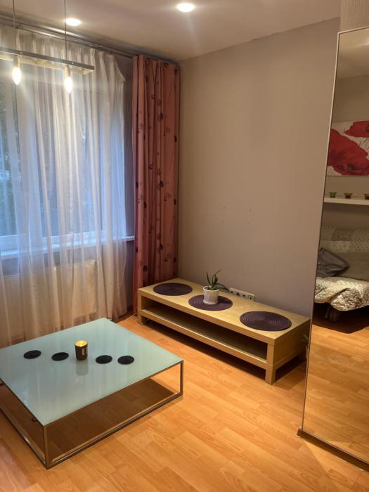 Dzirciema apartment