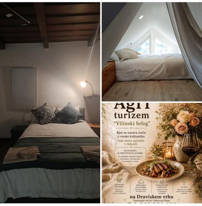 Agriturizem gourmet Italian style VILINSKI BRLOG