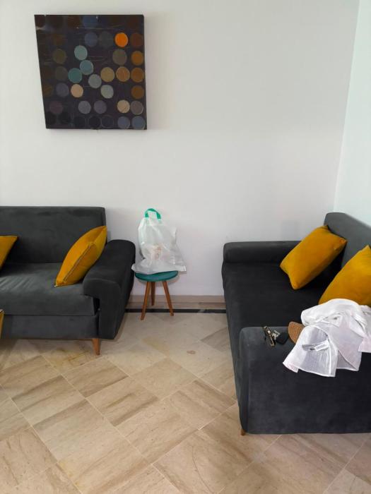 L appartement élégance