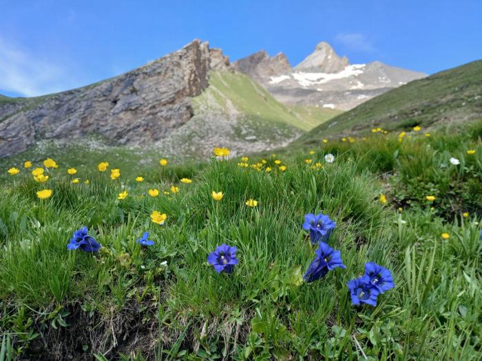 Bed & Breakfast Barba Bertu di Frassino