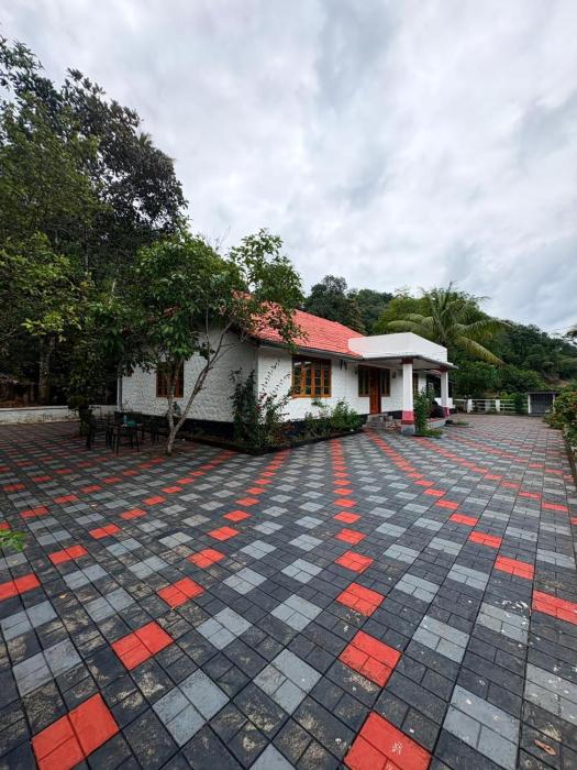 Lifepalace