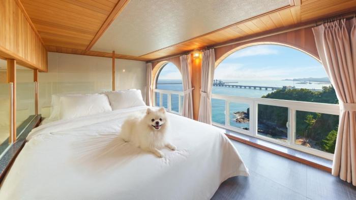 Samcheok Peacehousing Spa Pet Pension