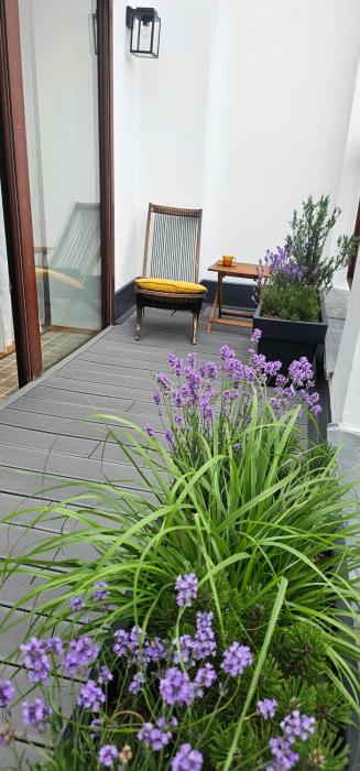 Wyjątkowy apartament przy uniwersytecie