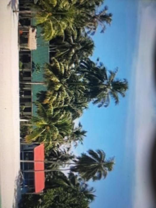 Lances right surf camp