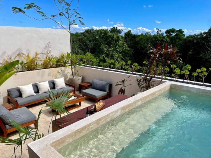 Luxury penthouse with private rooftop plunge pool
