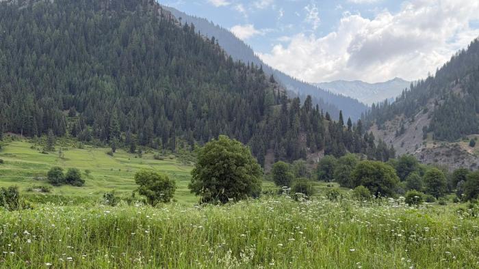 Serene Stay Cottages Gurez Valley