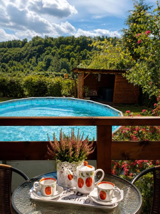 Rodzinny zakątek - Bieszczady - Jacuzzi - Basen
