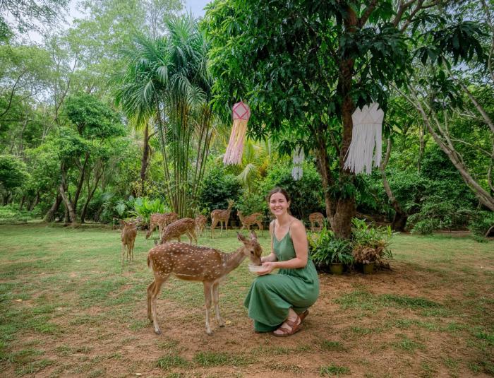 Deer Inn - Yala